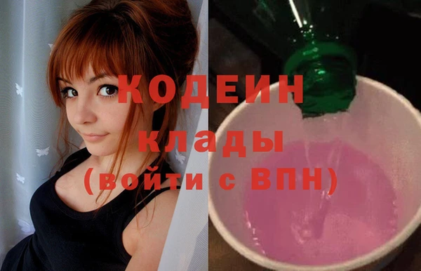 индика Надым