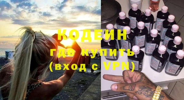 индика Надым