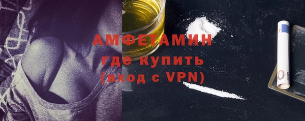 индика Надым
