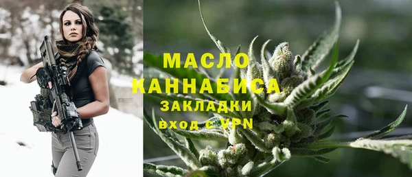 индика Надым