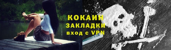 индика Надым