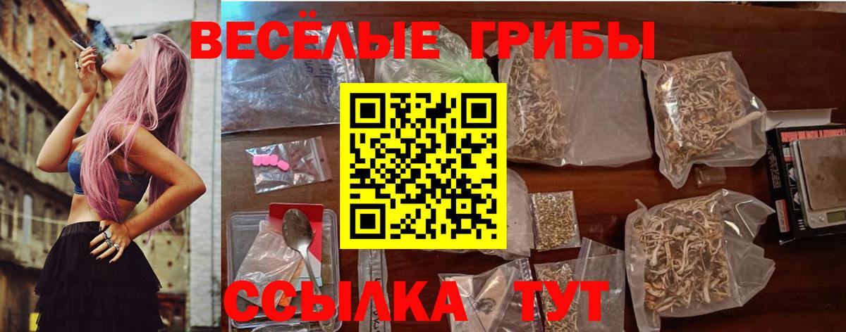 Псилоцибиновые грибы мицелий  Нижневартовск 