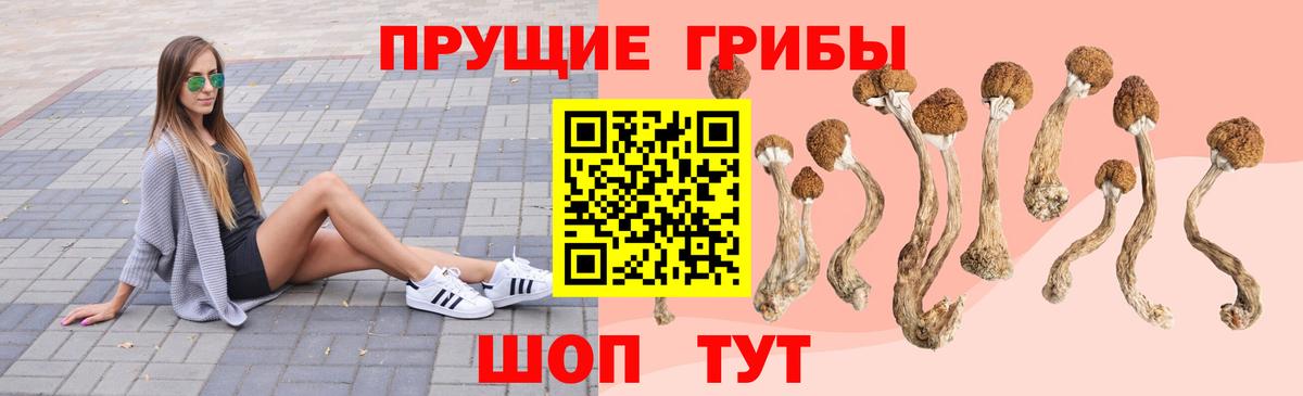Нижневартовск  Псилоцибиновые грибы GOLDEN TEACHER  Вход с VPN 